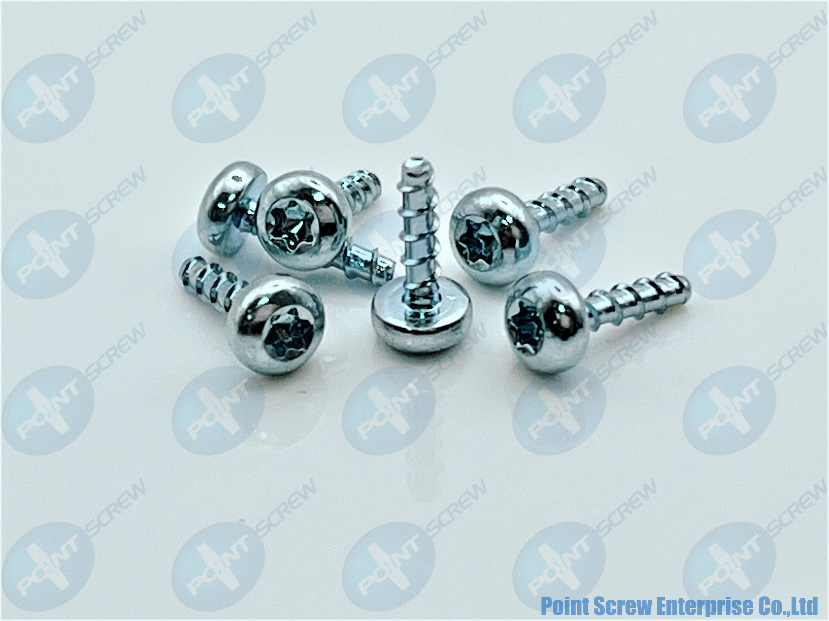 Round Head Screw